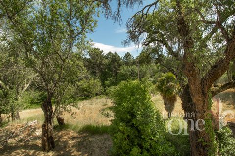 Villa a Chianni, Pisa, Chianni - € 230.000 | Ref: 17795 - foto 22