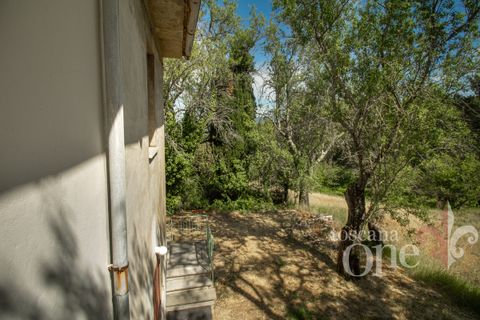 Villa a Chianni, Pisa, Chianni - € 230.000 | Ref: 17795 - foto 25