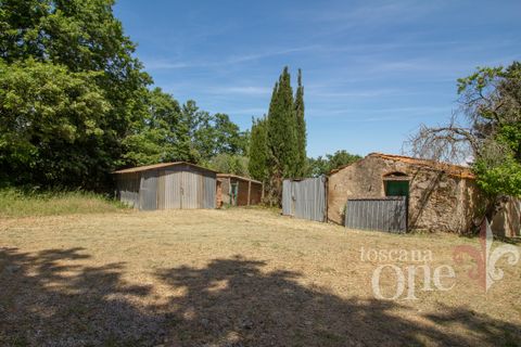 Villa a Chianni, Pisa, Chianni - € 230.000 | Ref: 17795 - foto 29