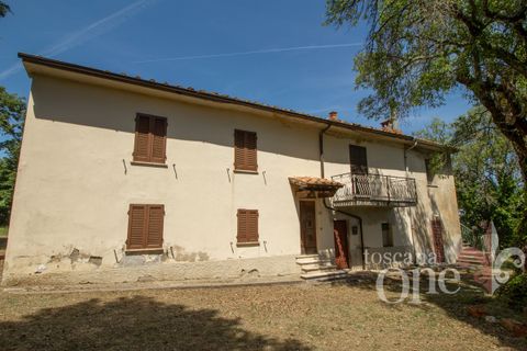Villa a Chianni, Pisa, Chianni - € 230.000 | Ref: 17795 - foto 30