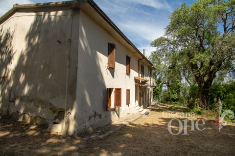 Villa a Chianni, Pisa, Chianni - € 230.000 | Ref: 17795 - foto 31