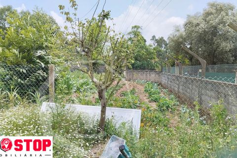 Helårsgrund i Agueda, Aveiro, Agueda - € 50.000 | Ref: 33246 - foto 4