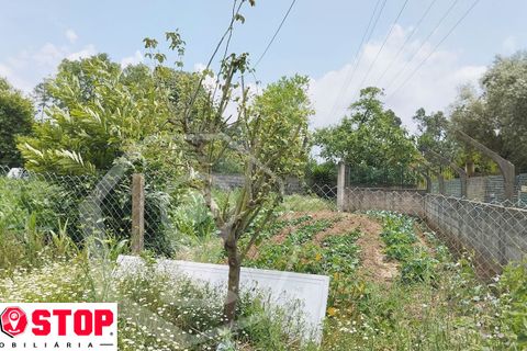 Helårsgrund i Agueda, Aveiro, Agueda - € 50.000 | Ref: 33246 - foto 5