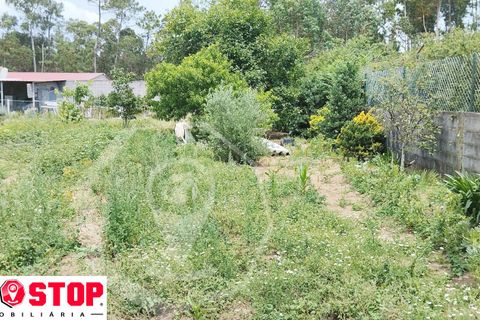 Helårsgrund i Agueda, Aveiro, Agueda - € 50.000 | Ref: 33246 - foto 6