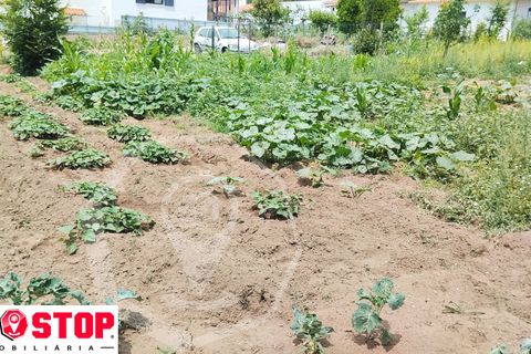 Helårsgrund i Agueda, Aveiro, Agueda - € 50.000 | Ref: 33246 - foto 7