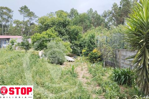 Helårsgrund i Agueda, Aveiro, Agueda - € 50.000 | Ref: 33246 - foto 8