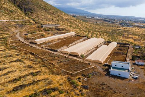 Tomt i Granadilla, Tenerife, Granadilla - € 670 000 | Ref: 0067-03885/2961 - foto 22