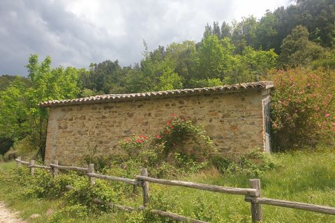 Villa a Orvieto, Terni, Orvieto - € 250.000 | Ref: PRODO01 - foto 17
