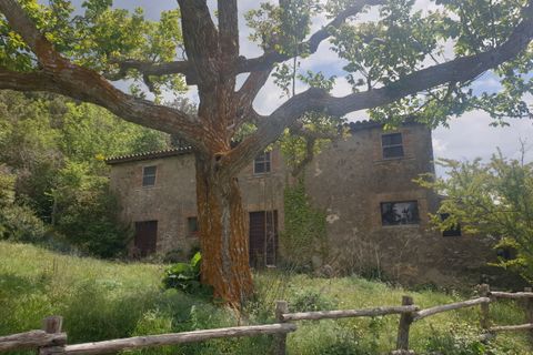 Villa a Orvieto, Terni, Orvieto - € 250.000 | Ref: PRODO01 - foto 19