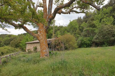 Villa a Orvieto, Terni, Orvieto - € 250.000 | Ref: PRODO01 - foto 27