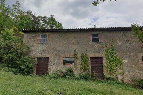 Villa a Orvieto, Terni, Orvieto - € 250.000 | Ref: PRODO01 - foto 29
