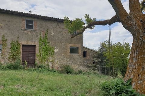 Villa a Orvieto, Terni, Orvieto - € 250.000 | Ref: PRODO01 - foto 30