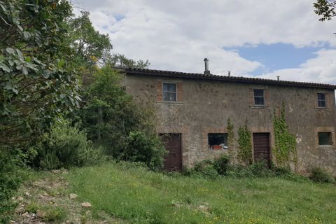 Villa a Orvieto, Terni, Orvieto - € 250.000 | Ref: PRODO01 - foto 32