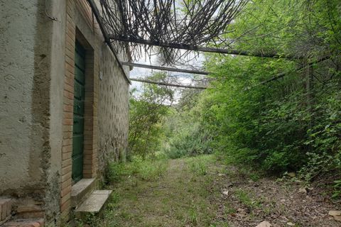 Villa a Orvieto, Terni, Orvieto - € 250.000 | Ref: PRODO01 - foto 38