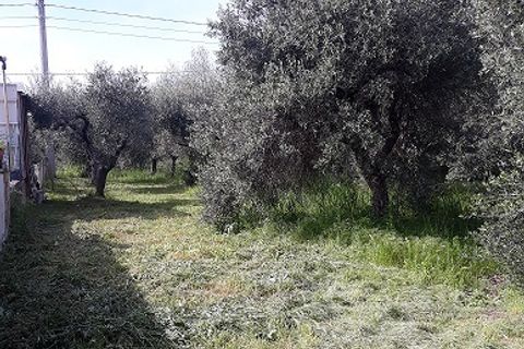 Lejlighed i Ari, Chieti, Ari - € 25.000 | Ref: OR488 - foto 6