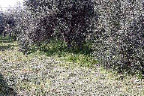 Lejlighed i Ari, Chieti, Ari - € 25.000 | Ref: OR488 - foto 7