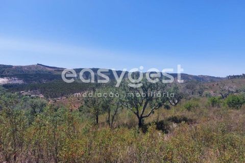 Helårsgrund i Odemira, Beja, Odemira - € 58.000 | Ref: BJ92565 - foto 1