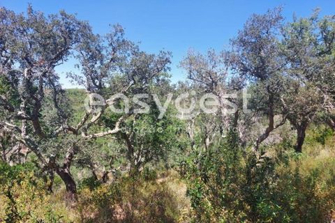 Helårsgrund i Odemira, Beja, Odemira - € 58.000 | Ref: BJ92565 - foto 2