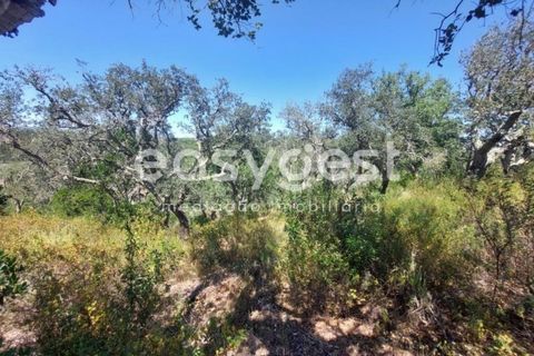 Helårsgrund i Odemira, Beja, Odemira - € 58.000 | Ref: BJ92565 - foto 4
