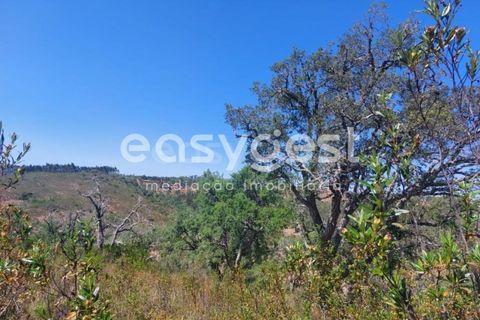 Helårsgrund i Odemira, Beja, Odemira - € 58.000 | Ref: BJ92565 - foto 5