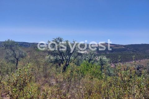 Helårsgrund i Odemira, Beja, Odemira - € 58.000 | Ref: BJ92565 - foto 7