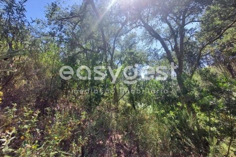 Helårsgrund i Odemira, Beja, Odemira - € 58.000 | Ref: BJ92565 - foto 8