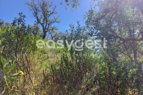 Helårsgrund i Odemira, Beja, Odemira - € 58.000 | Ref: BJ92565 - foto 9