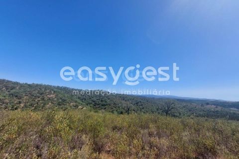 Helårsgrund i Odemira, Beja, Odemira - € 58.000 | Ref: BJ92565 - foto 11