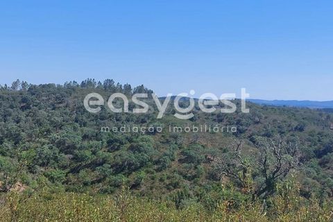Helårsgrund i Odemira, Beja, Odemira - € 58.000 | Ref: BJ92565 - foto 12