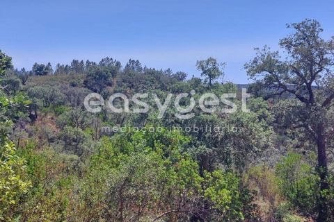 Helårsgrund i Odemira, Beja, Odemira - € 58.000 | Ref: BJ92565 - foto 13