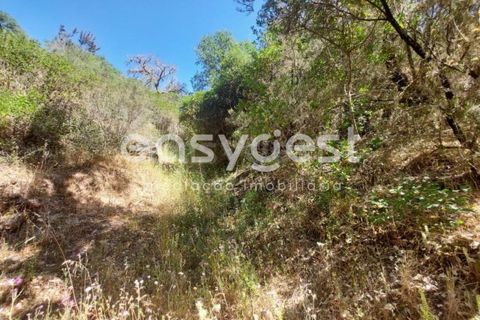 Helårsgrund i Odemira, Beja, Odemira - € 58.000 | Ref: BJ92565 - foto 14