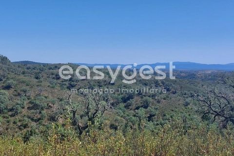 Helårsgrund i Odemira, Beja, Odemira - € 58.000 | Ref: BJ92565 - foto 15