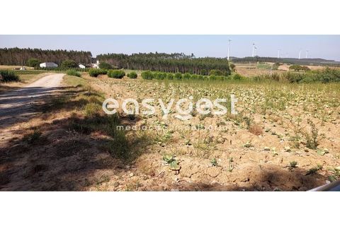 Helårsgrund i Lourinha, Lisbon, Lourinha - € 18.000 | Ref: LA92601NN - foto 2