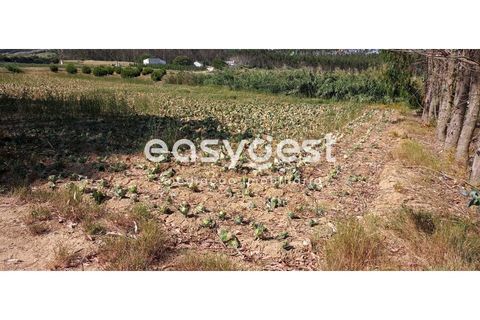 Helårsgrund i Lourinha, Lisbon, Lourinha - € 18.000 | Ref: LA92601NN - foto 3