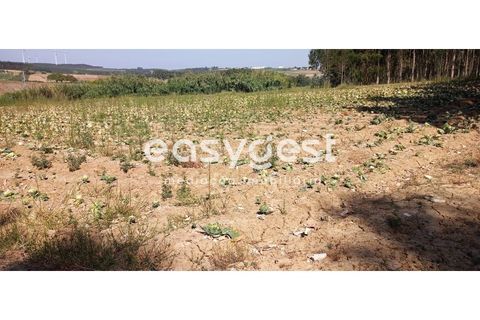 Helårsgrund i Lourinha, Lisbon, Lourinha - € 18.000 | Ref: LA92601NN - foto 4