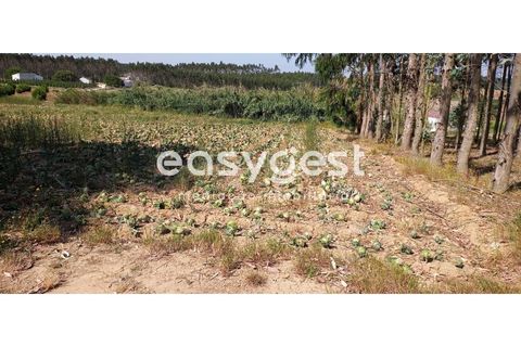 Helårsgrund i Lourinha, Lisbon, Lourinha - € 18.000 | Ref: LA92601NN - foto 6