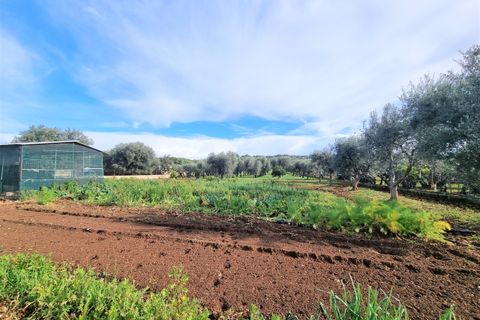 Villa a Grottaglie, Taranto, Grottaglie - € 220.000 | Ref: 4126 - foto 30
