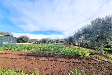 Villa a Grottaglie, Taranto, Grottaglie - € 220.000 | Ref: 4126 - foto 31