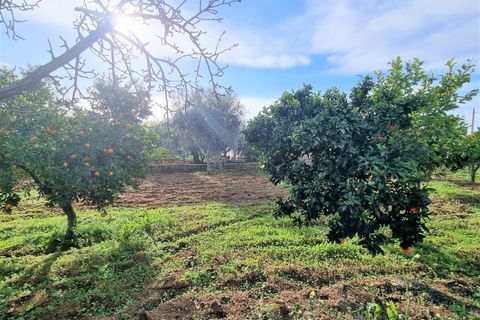 Villa a Grottaglie, Taranto, Grottaglie - € 220.000 | Ref: 4126 - foto 32