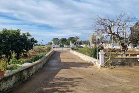Villa a Grottaglie, Taranto, Grottaglie - € 220.000 | Ref: 4126 - foto 34