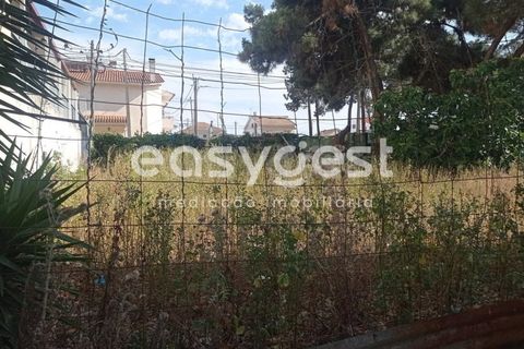 Terra a Quinta do Conde, Setubal, Quinta do Conde - € 138.000 | Ref: ST92550AC - foto 12