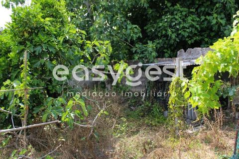 Byhus i Ilhavo, Aveiro, Ilhavo - € 250.000 | Ref: EA92556 - foto 9