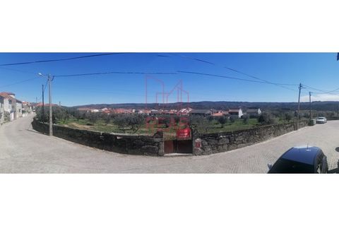 Terra a Boticas, Vila Real, Boticas - € 170.000 | Ref: 13/2019 - foto 2
