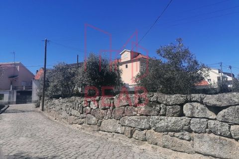 Terra a Boticas, Vila Real, Boticas - € 170.000 | Ref: 13/2019 - foto 5