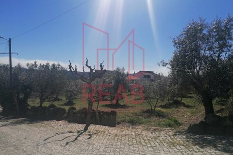 Terra a Boticas, Vila Real, Boticas - € 170.000 | Ref: 13/2019 - foto 6