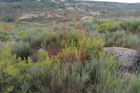 Helårsgrund i Eirado, Guarda, Eirado - € 60.000 | Ref: 51/2020 - foto 3