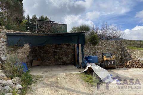 Terra a Monreale, Palermo, Monreale - € 55.000 | Ref: v.18 - foto 4