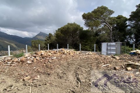 Terra a Monreale, Palermo, Monreale - € 55.000 | Ref: v.18 - foto 6