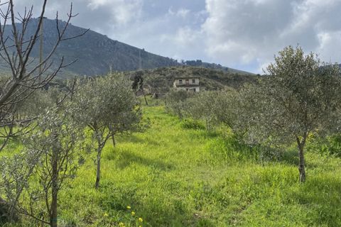 Terra a Monreale, Palermo, Monreale - € 55.000 | Ref: v.18 - foto 8