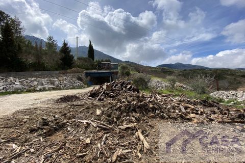 Terra a Monreale, Palermo, Monreale - € 55.000 | Ref: v.18 - foto 12